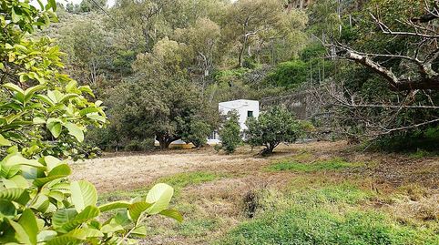 Foto 4 de Finca rústica en venda a Lomo del Hornillo, San José del Álamo - El Hornillo, Teror