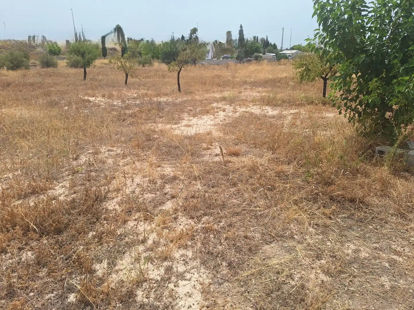 Villa con piscina in vendita a Partidas de Alicante, imagen 15
