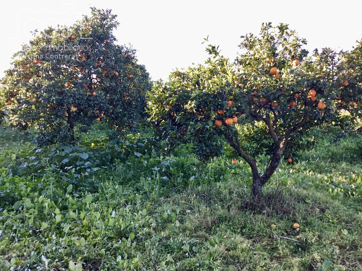 Finca rústica en venda