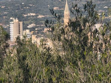Terreno residencial en venta en Manacor Centre