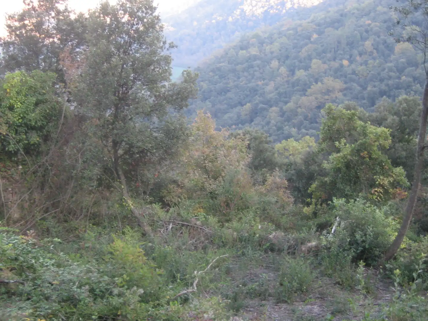 Rural land for sale in Montagut i Oix, imagen 18