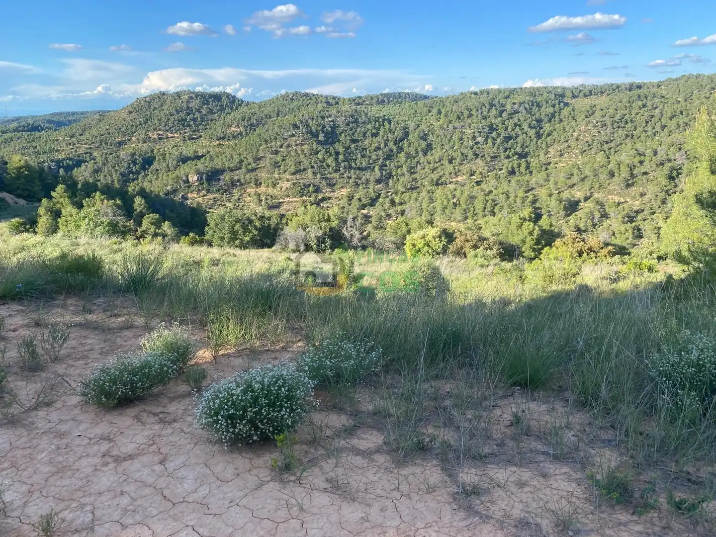 Residencial en venta en La Pobla de Cérvoles