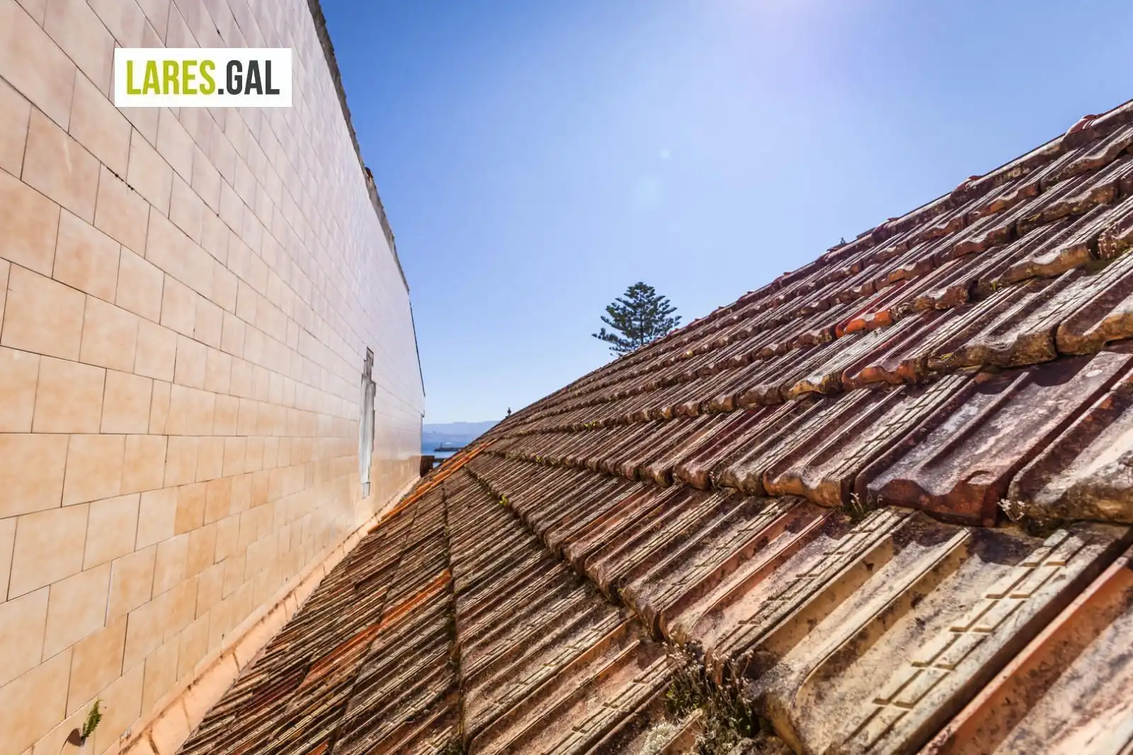Casa con terraza en venta en Rúa Eduardo Vicenti, imagen 50
