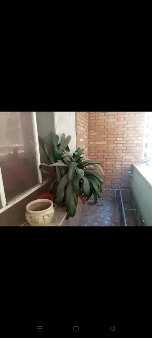 Wohnung mit Aufzug zum Verkauf in Calle San Lorenzo, imagen 6