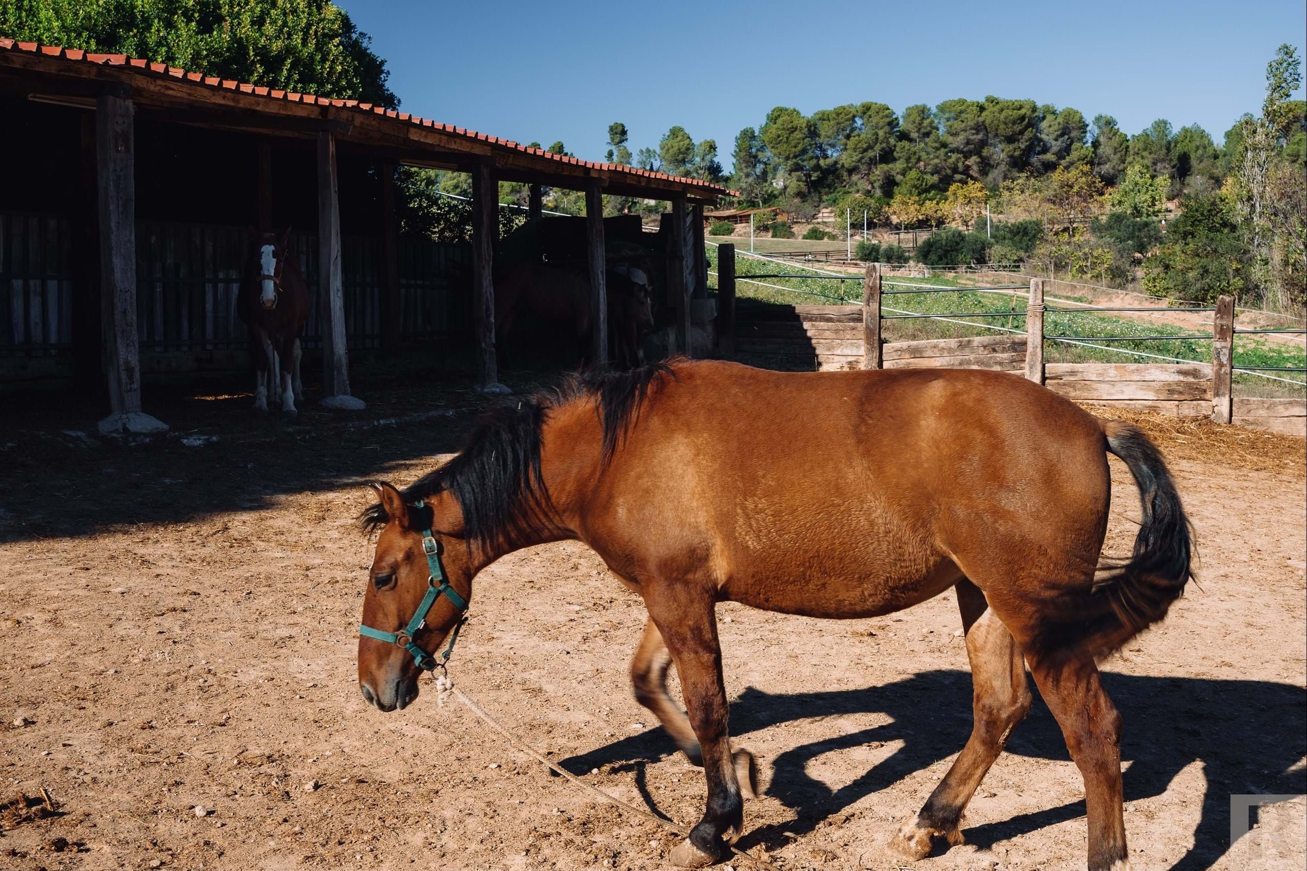 Vista exterior de Terreno en venta en Rubí