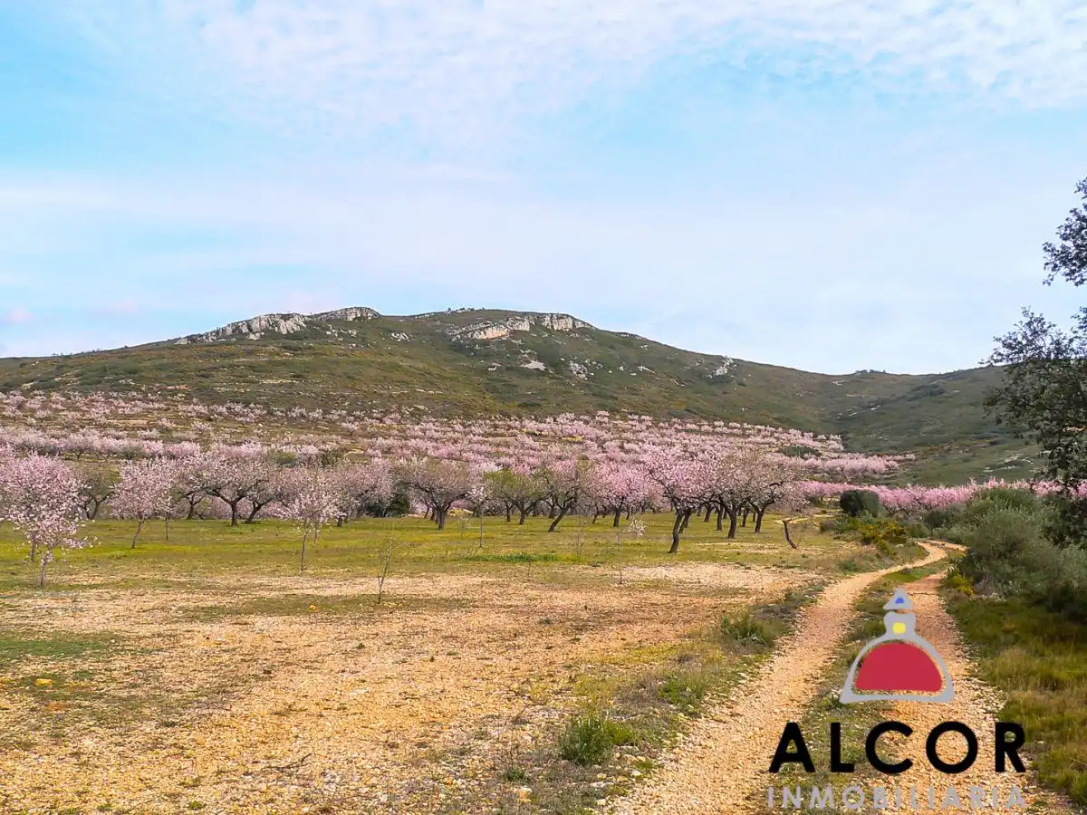 Residencial en venda en Tírig