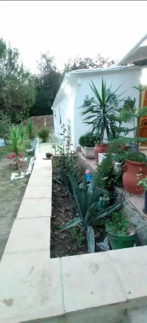 Jardín de Finca rústica en venta en Benaocaz