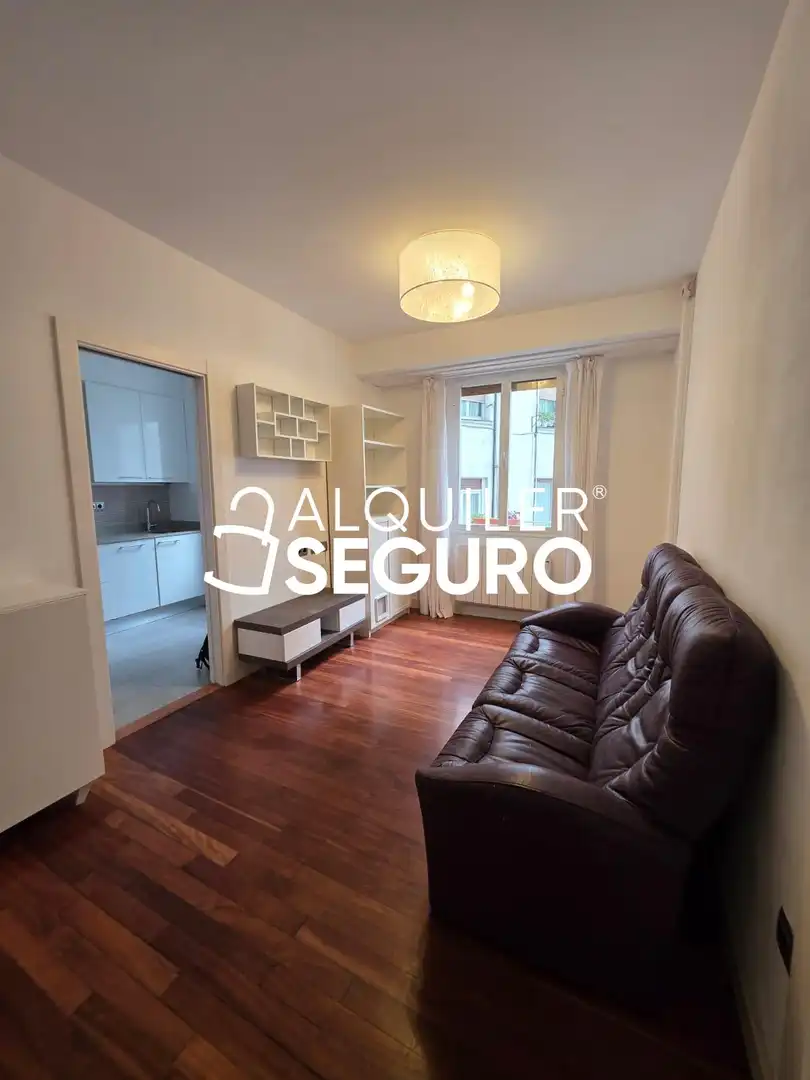 Sala de estar de Piso de alquiler en Bilbao  con Calefacción y Amueblado