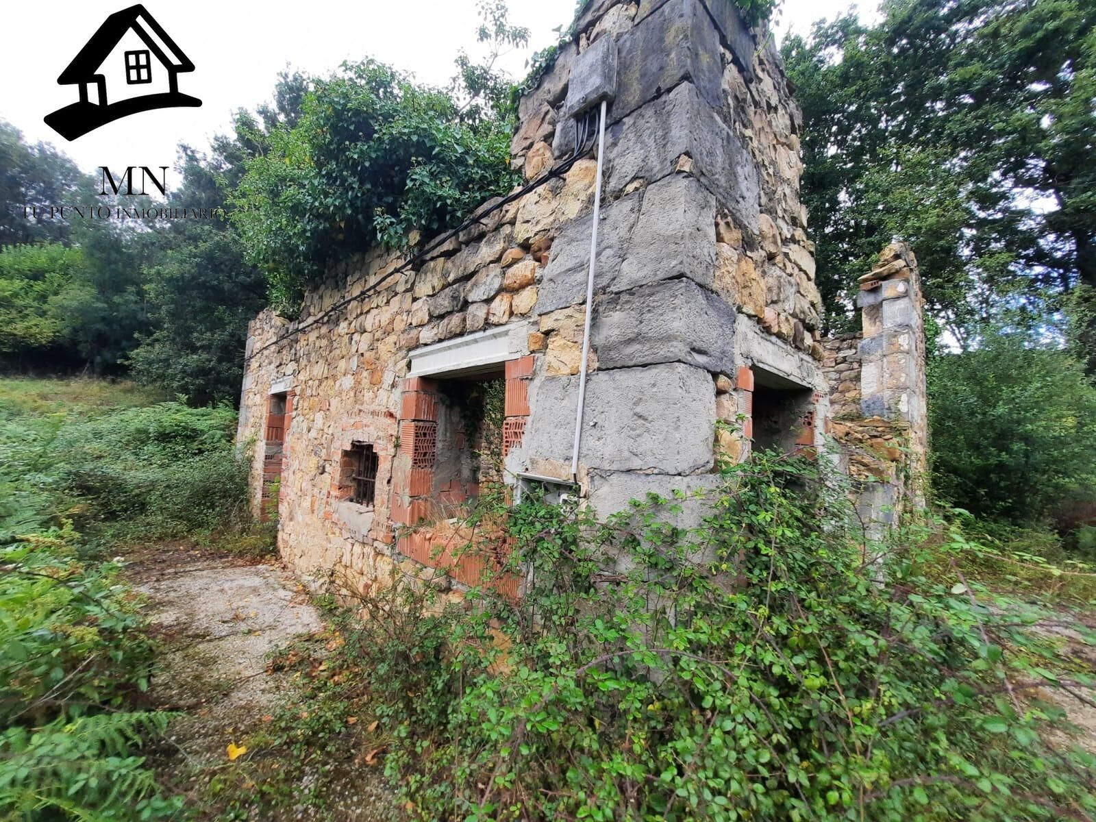 Exterior view of Country house for sale in Corvera de Toranzo