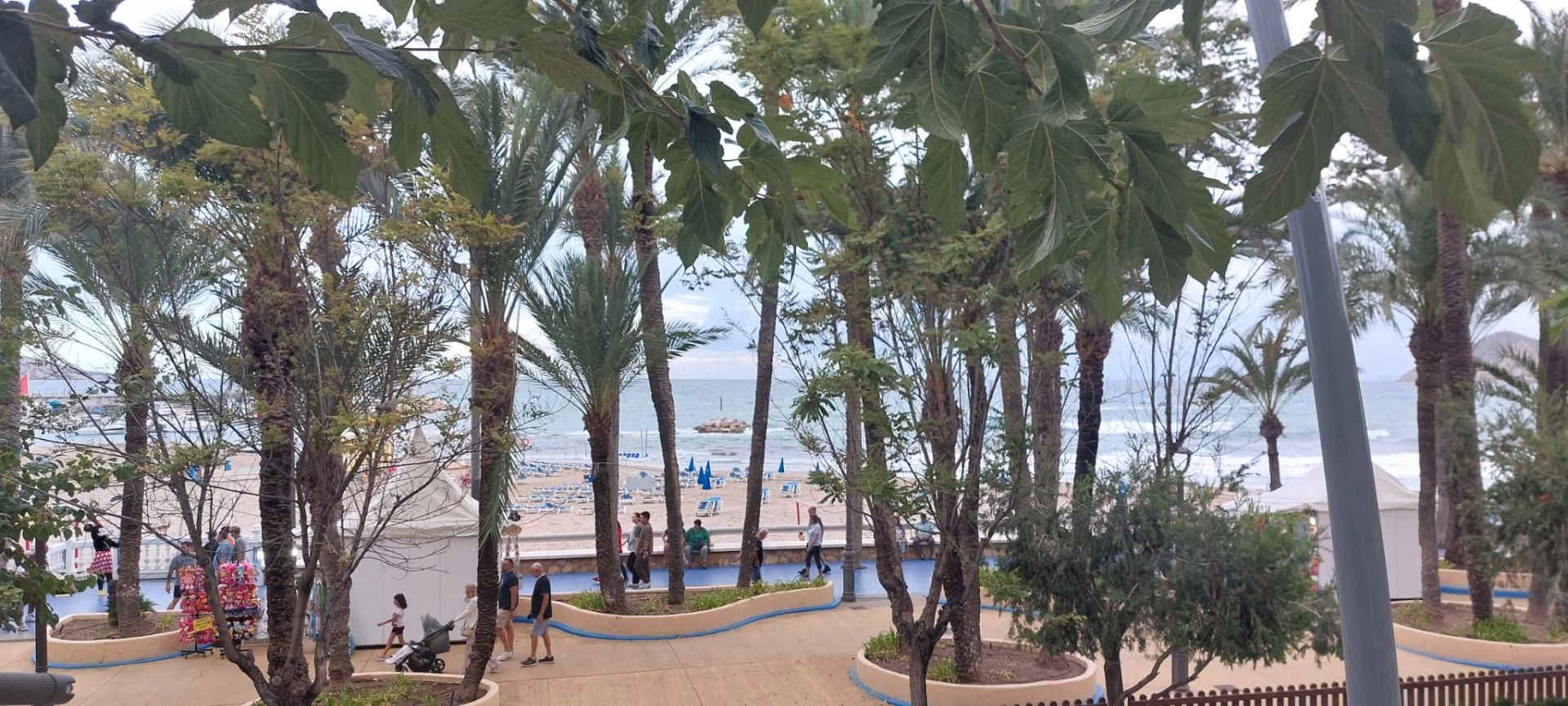 Vista exterior de Estudi en venda en Benidorm amb Aire condicionat i Internet
