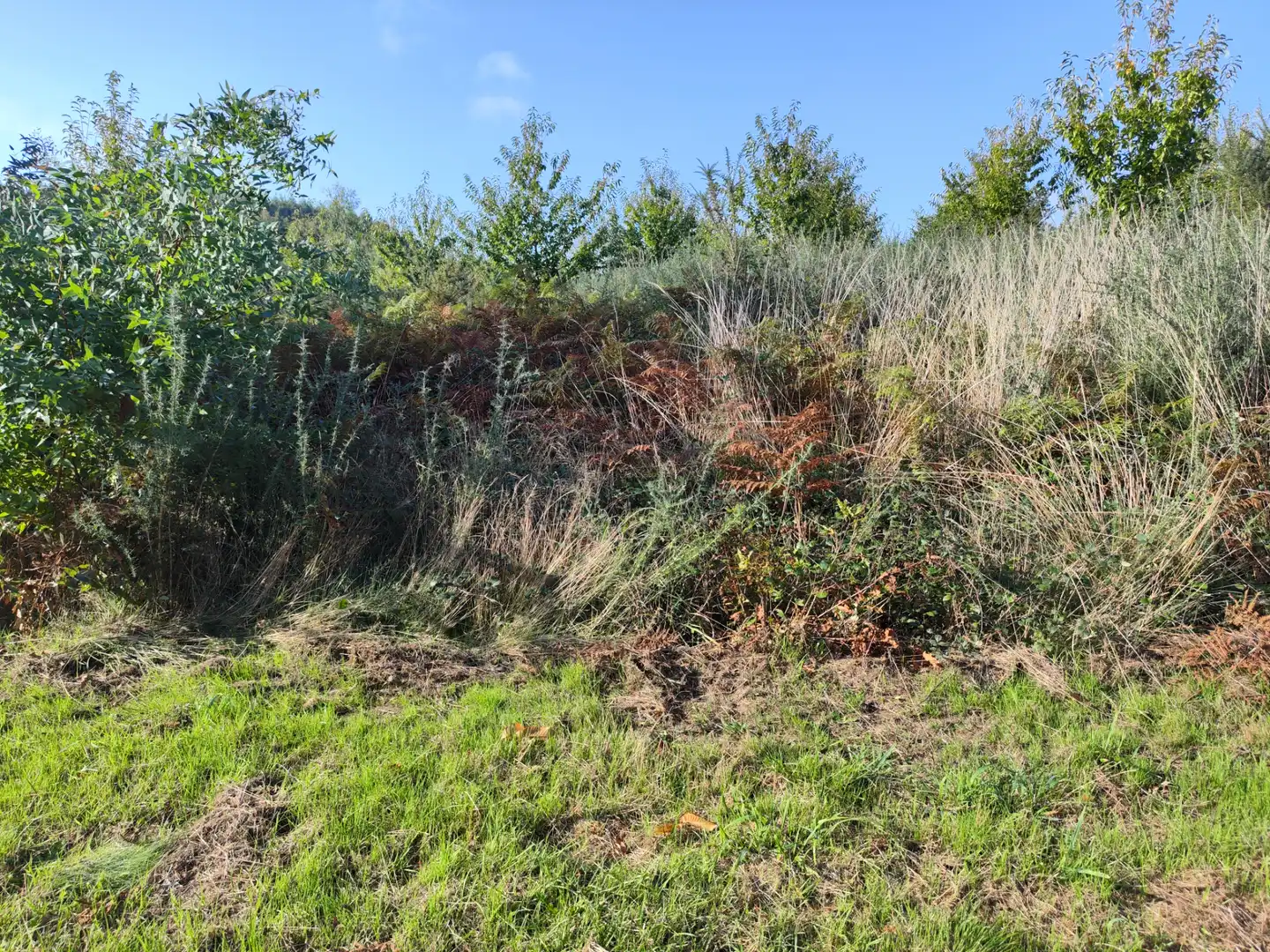 Land for sale in Dumbría