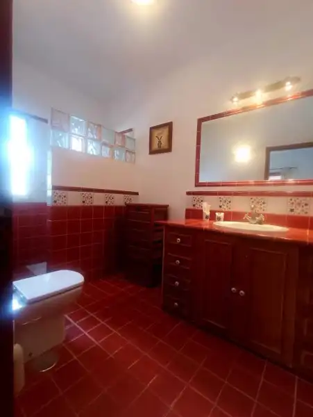 Piso de alquiler en Calle Araucaria, -1, Icod de los Vinos pueblo