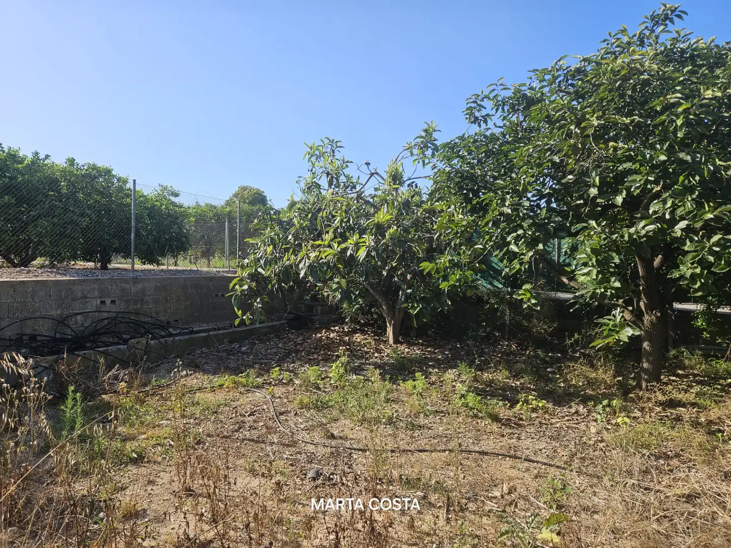 Terreno en venta en Almoines