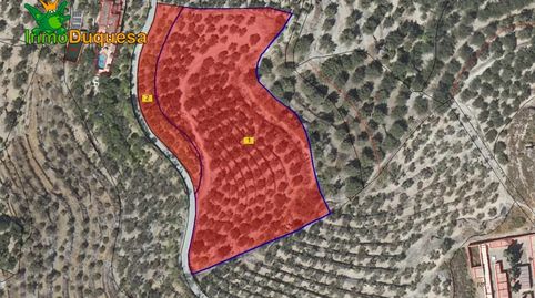 2 Fincas rústicas con mas de 15.000 m2 en total. En Pinos del Valle VENTA JUNTAS o SEPARADAS