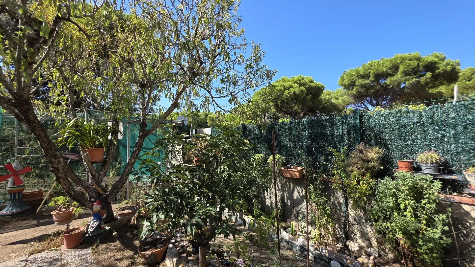 Apartamento en venta en S'Agaró, imagen 20