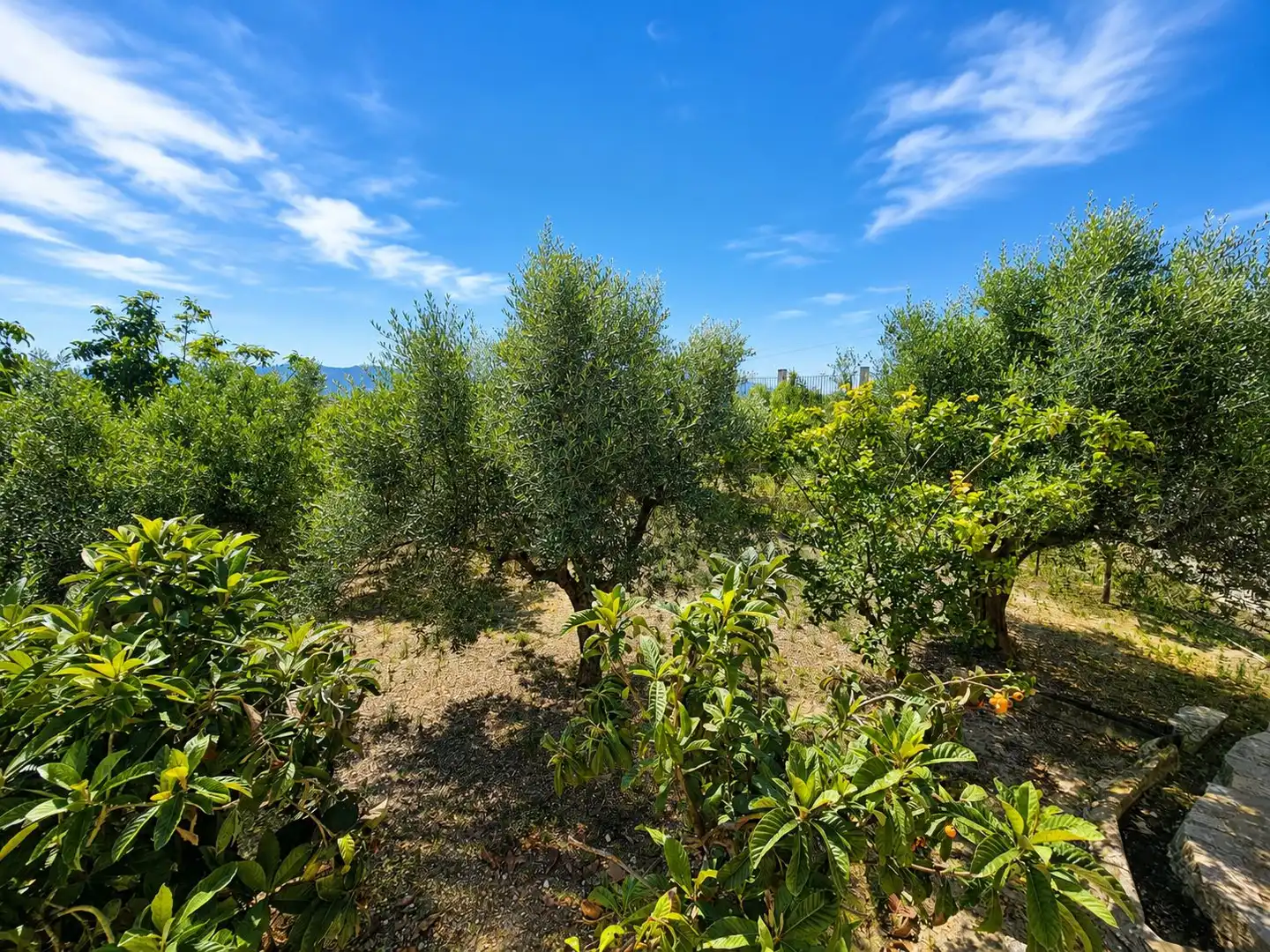 Garten von Haus oder Chalet zum Verkauf in Castalla mit Heizung, Terrasse und Abstellraum