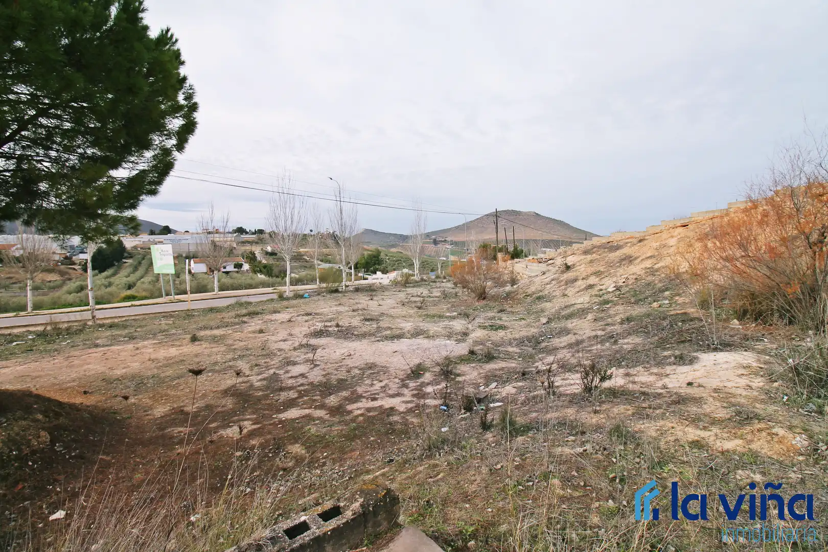 Terrenos y solares en venta en Alameda, imagen 5