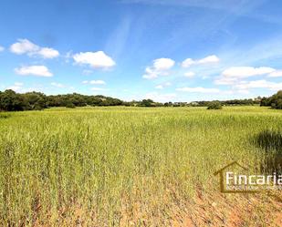 Residencial en venda en Felanitx