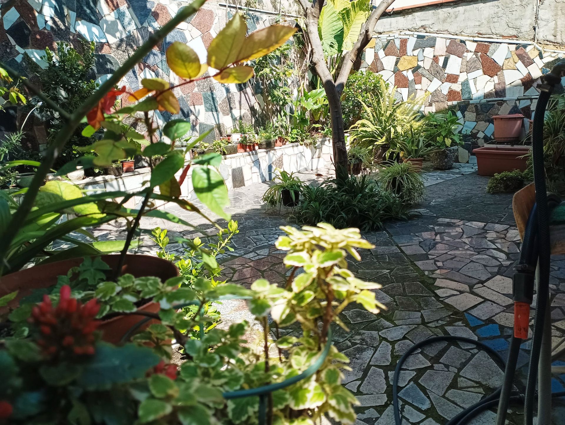 Jardí de Casa adosada en venda en Santa Coloma de Gramenet amb Jardí privat i Terrassa