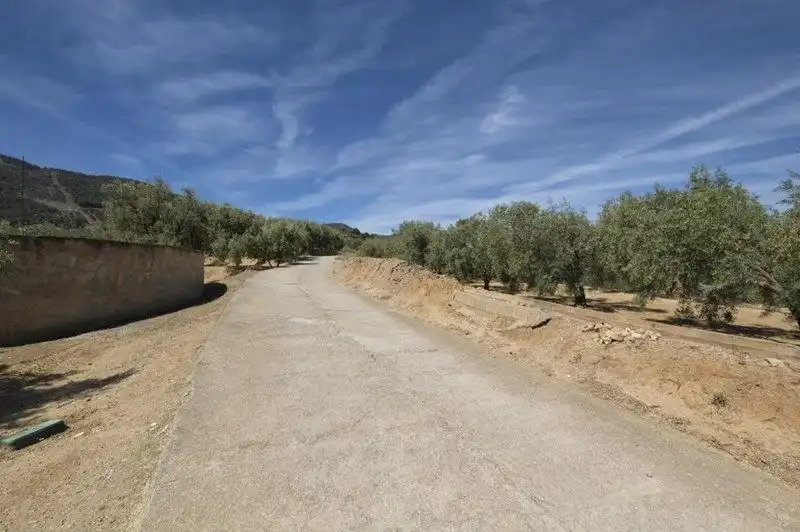 Terreno rustico in vendita a El Valle, imagen 23