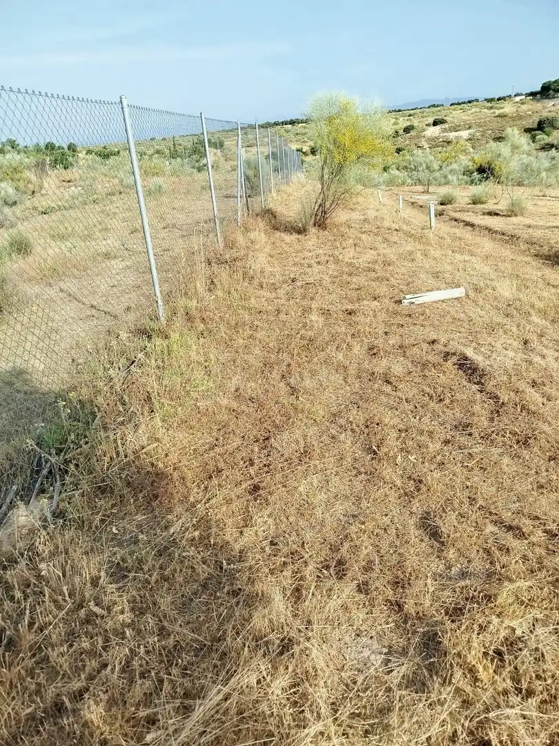 Terreno rústico en venta en Fuencarral - El Pardo, imagen 39