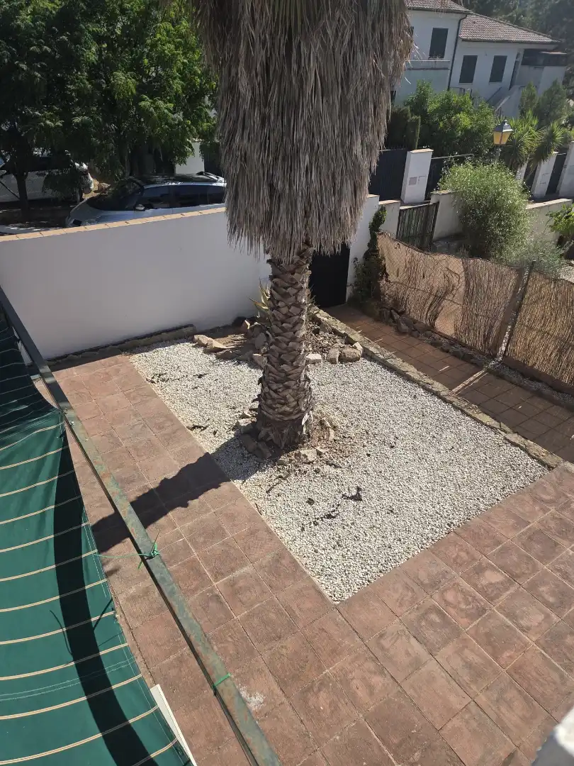 Jardí de Casa o xalet en venda en Córdoba amb Aire condicionat, Jardí privat i Terrassa