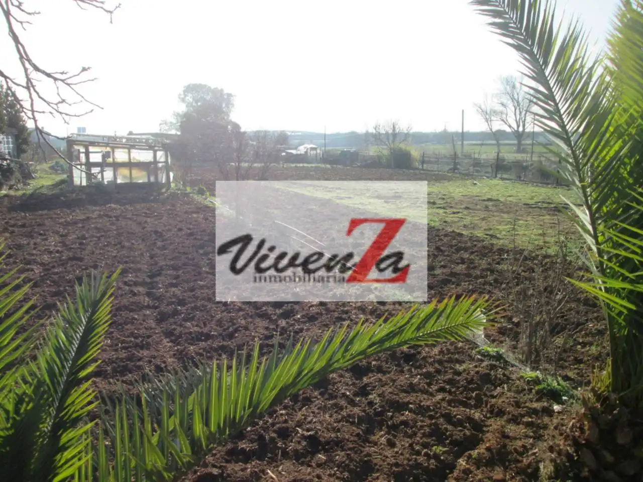 Terreny rústic en venda a Urbanización Siglo XXI - Carretera de Villalpando, imagen 3