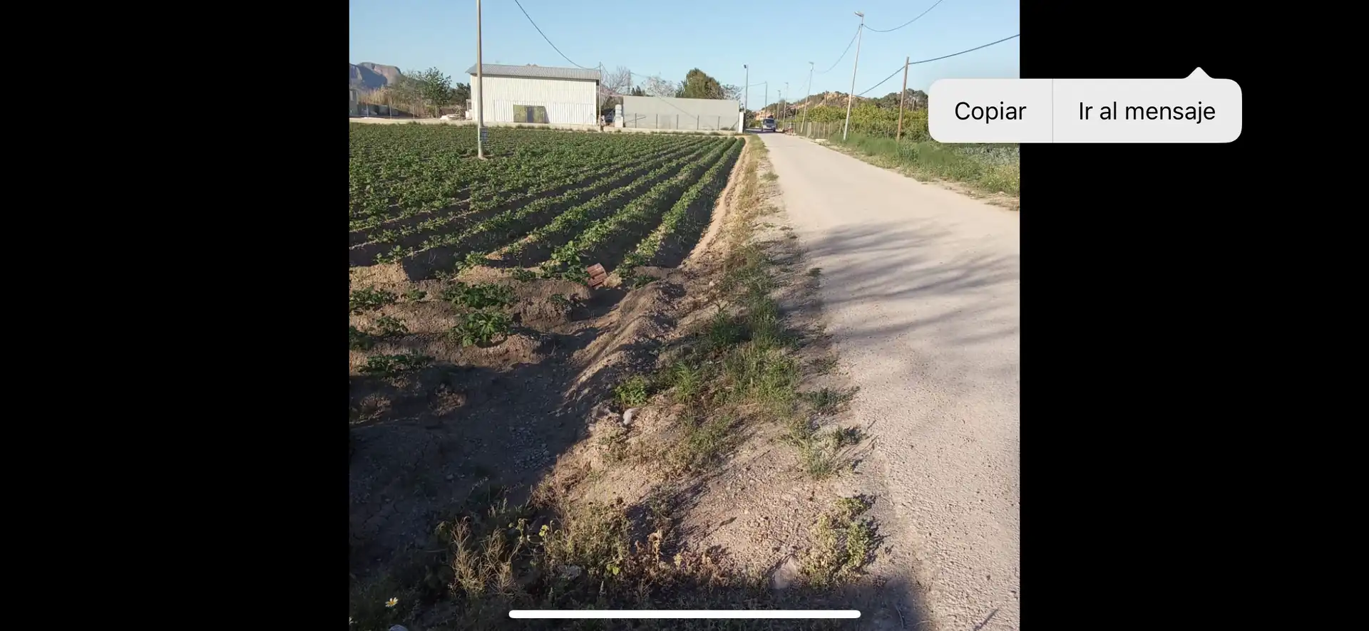 Finca rústica en venda en Orihuela amb Terrassa