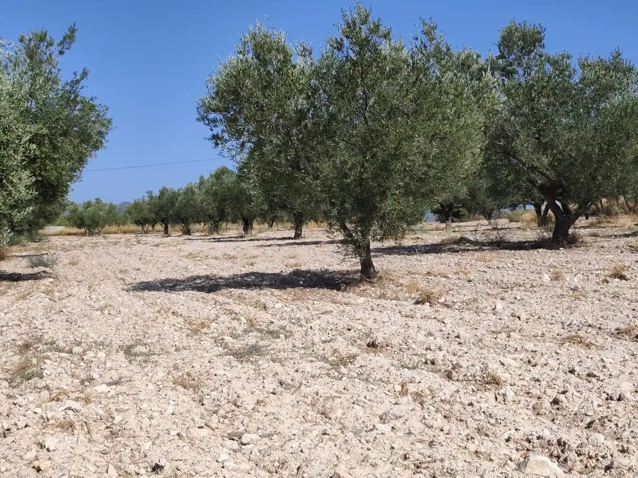 Terreno rustico in vendita a Castalla, imagen 10