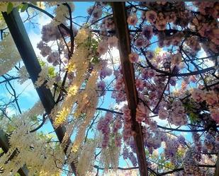 Jardí de Casa o xalet en venda en  Madrid Capital amb Aire condicionat, Terrassa i Piscina