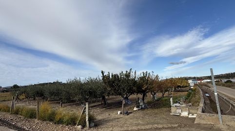 Santa AmaliaTerreno, immagine 5