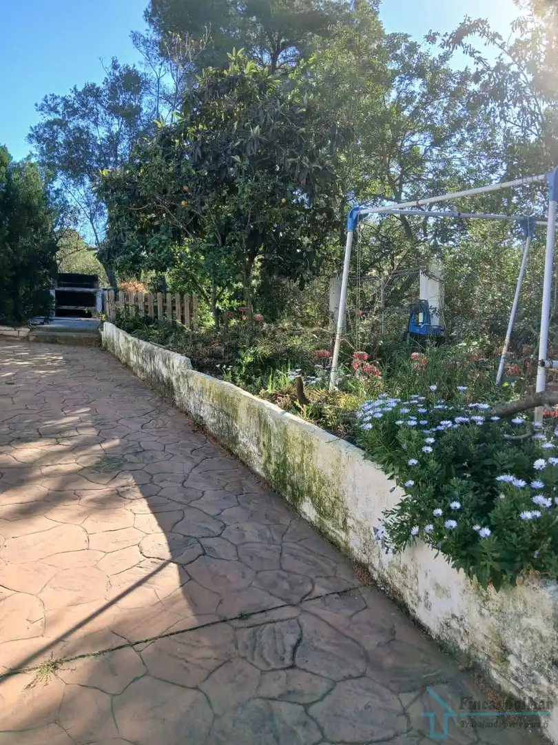 Jardín de Casa o chalet en venta en Alfara de la Baronia con Terraza