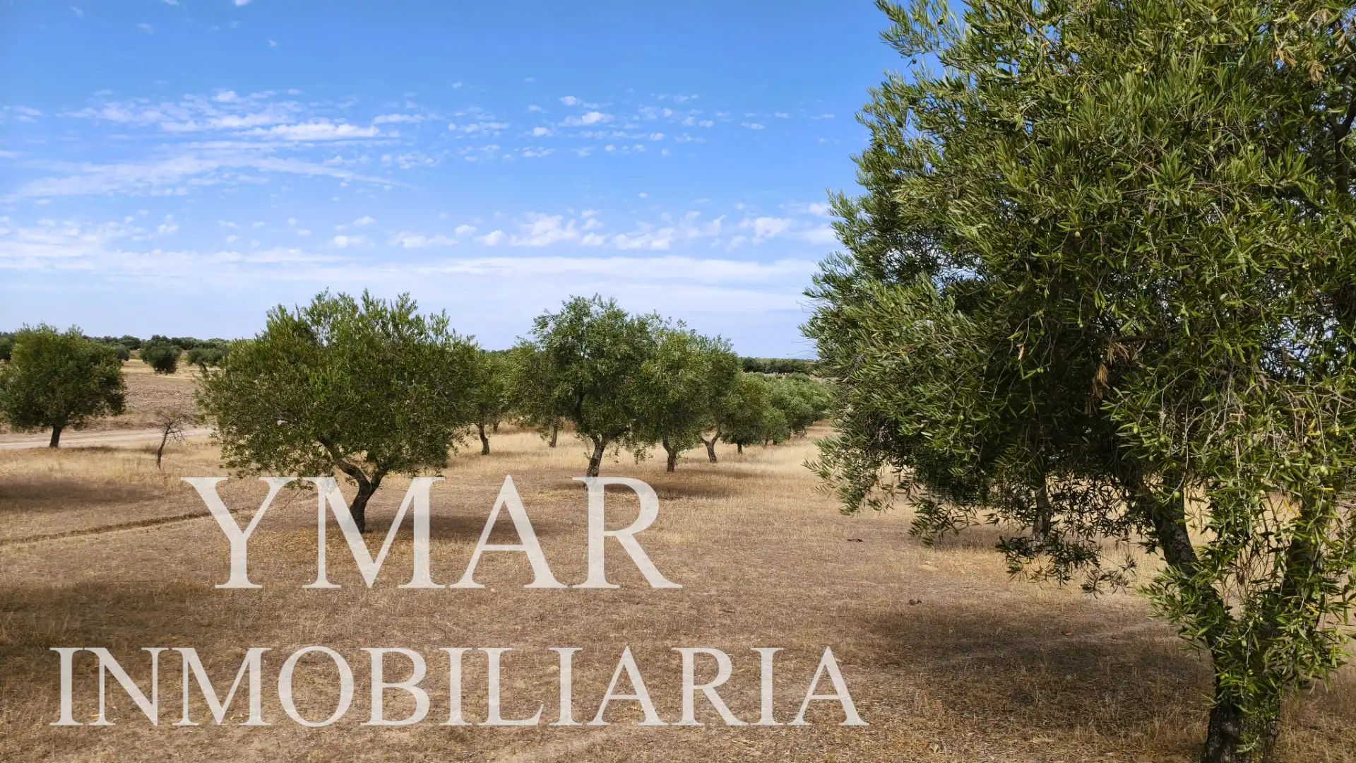 Rural land for sale in Santo Domingo-Caudilla