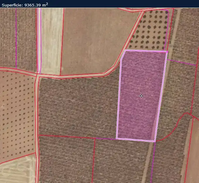 Rural land for sale in Valdepeñas, imagen 18