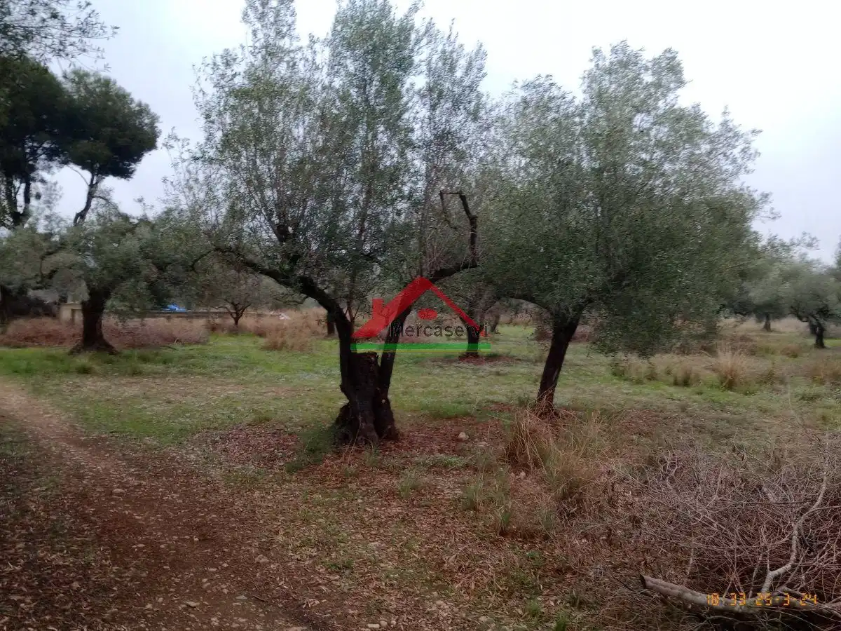 Finca rústica en venta en Vinaròs