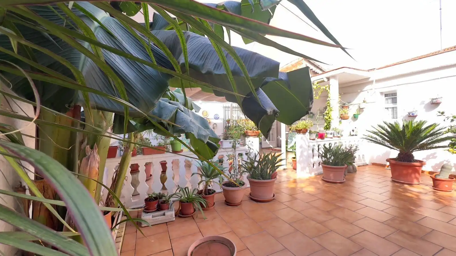 Jardín de Casa o chalet en venta en Aldaia con Aire acondicionado, Jardín privado y Terraza