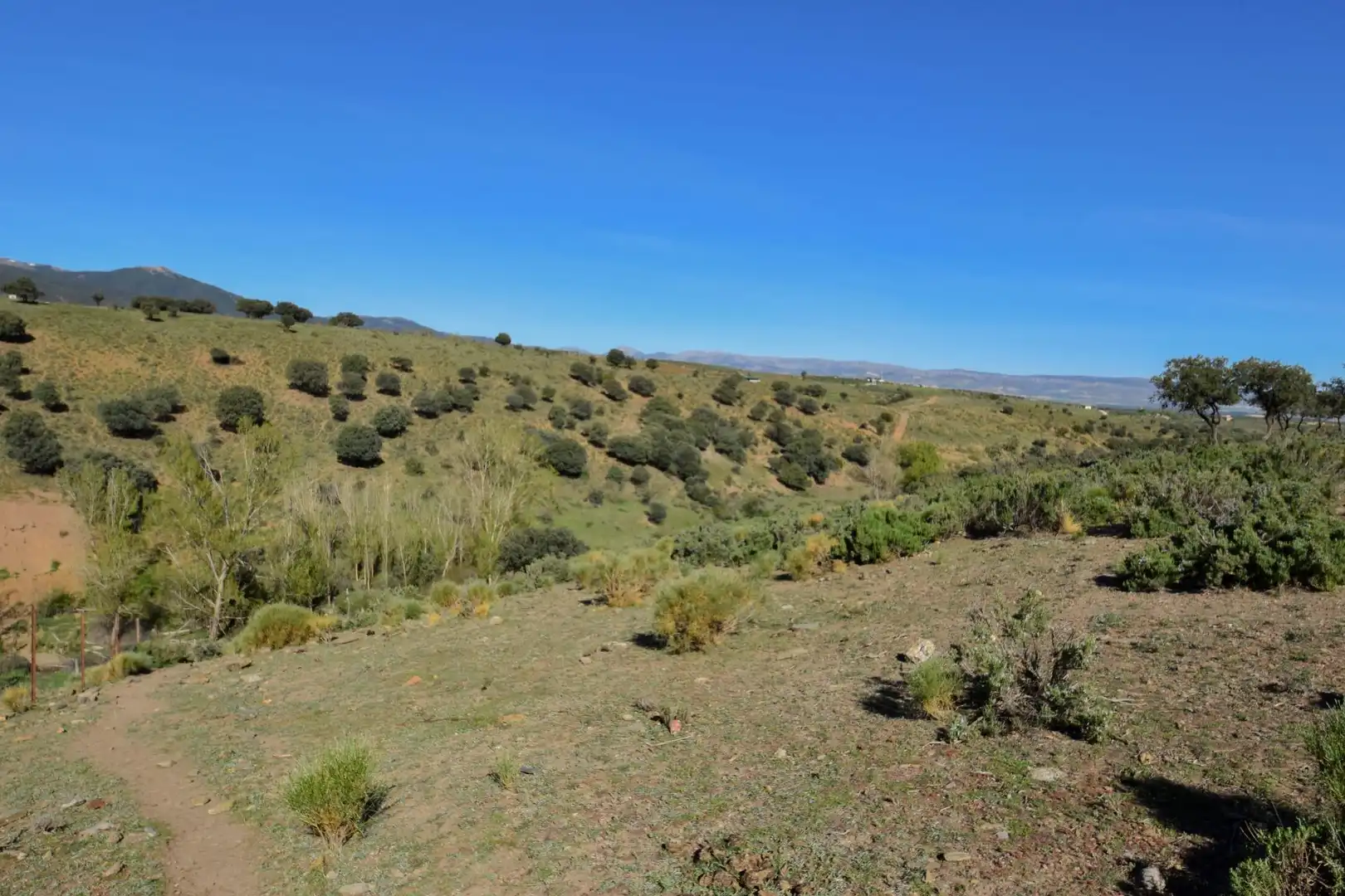 Terreno en venta en Paraje de las Perdices, Lugros