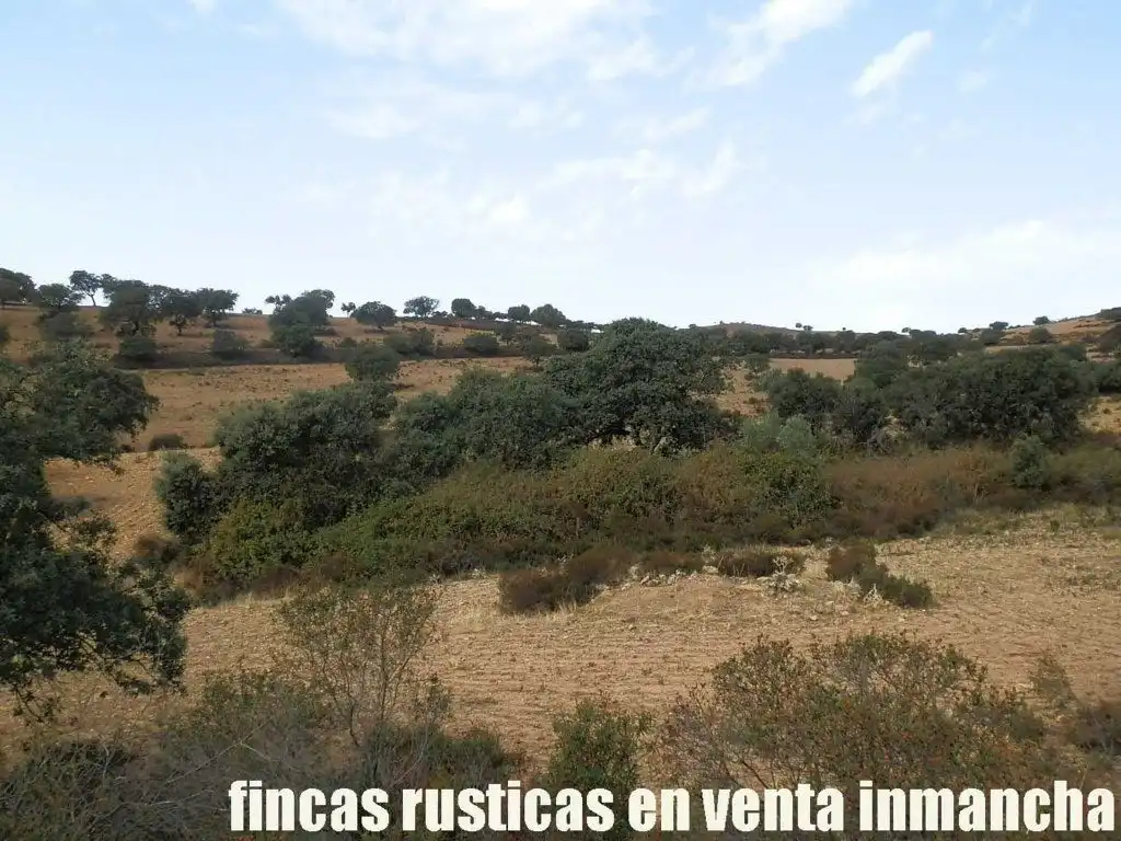 Terreni e lotti in vendita a Peñalsordo, imagen 7