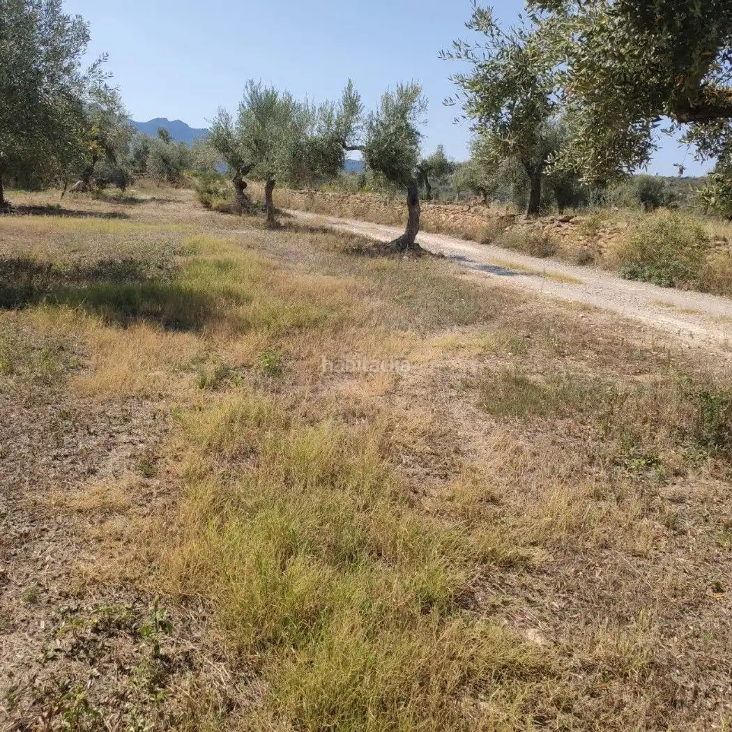 Rural land for sale in Carrer de la Muntanya 1, imagen 8