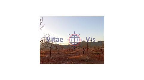 FINCA 70 HECTAREAS CON EXPLOTACION GANADERA Y AGRICOLA CON CORTIJO EN LA PACA, immagine 3