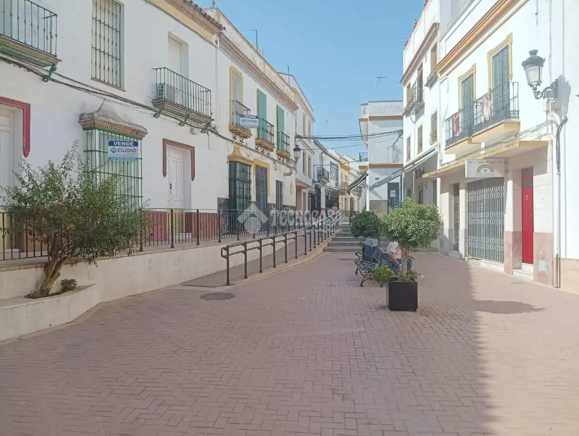 Exterior view of Detached homes for sale in Arahal  with Terrace