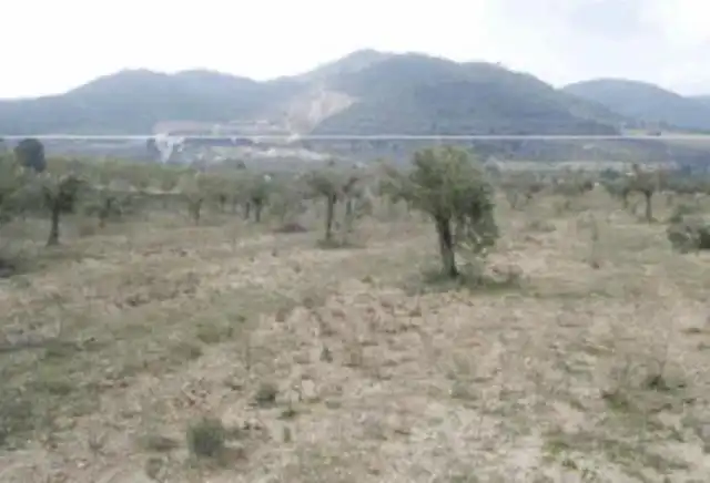 Rural land for sale in Biar, imagen 3