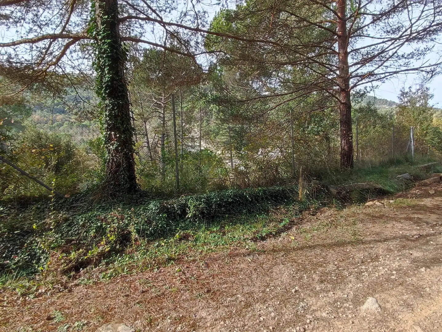 Terrain rustique à vendre à Monistrol de Calders, imagen 14