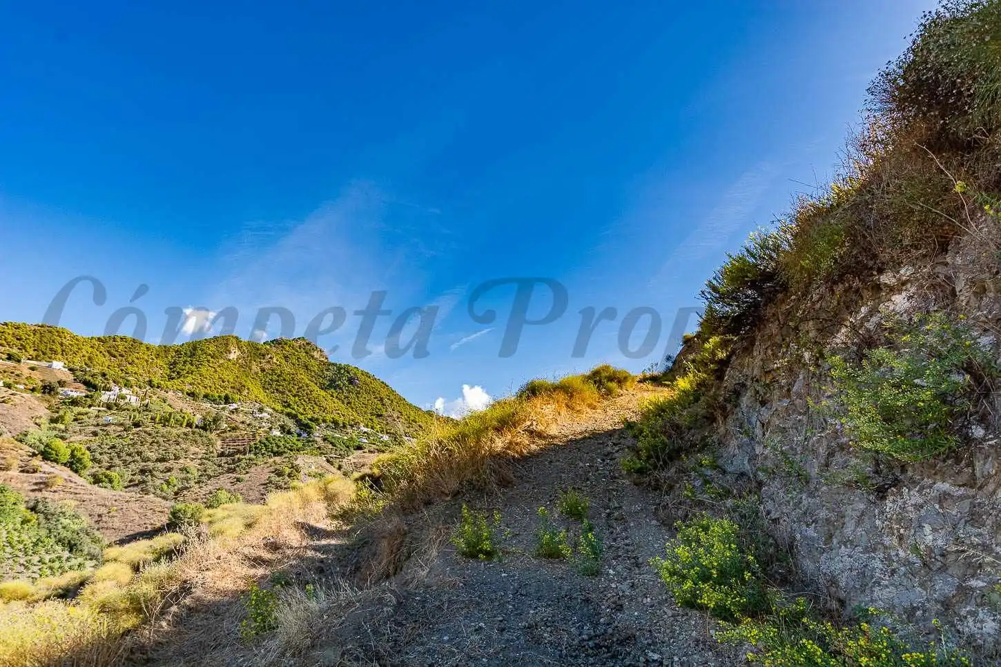 Terreno rústico en venta en Frigiliana, imagen 10