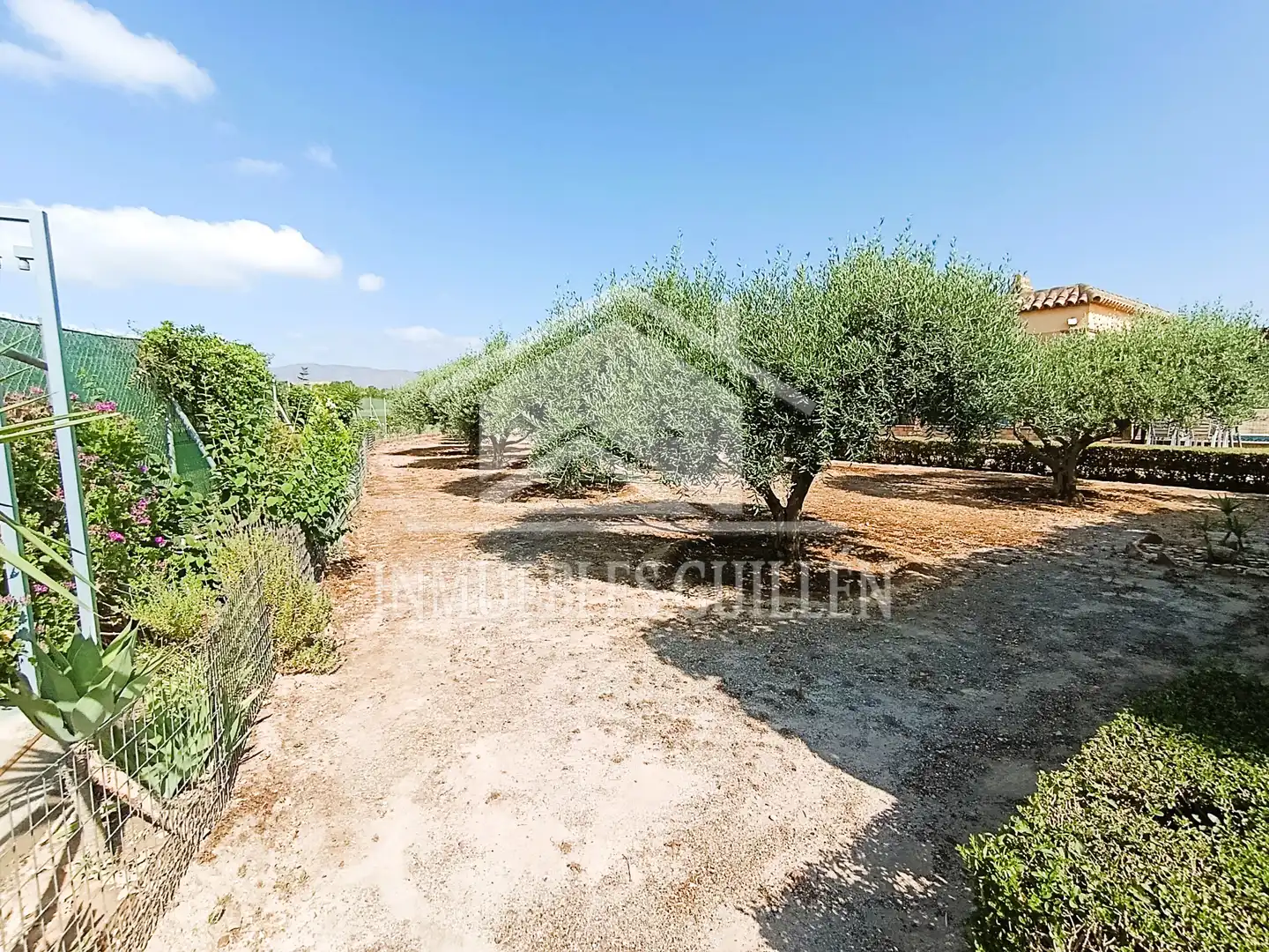 Casa amb piscina en venda a Berja, imagen 14