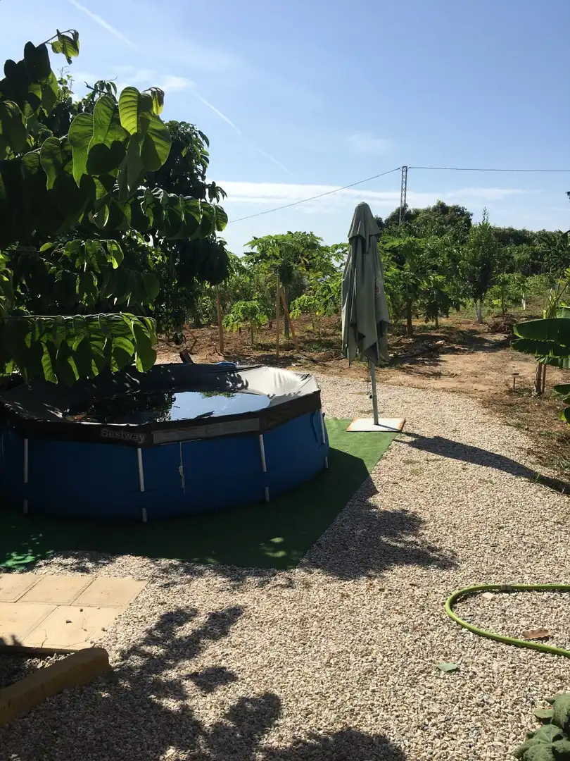 Casa rústica en venda a Monte los Almendros - El Pargo - Costa Aguilera, imagen 43