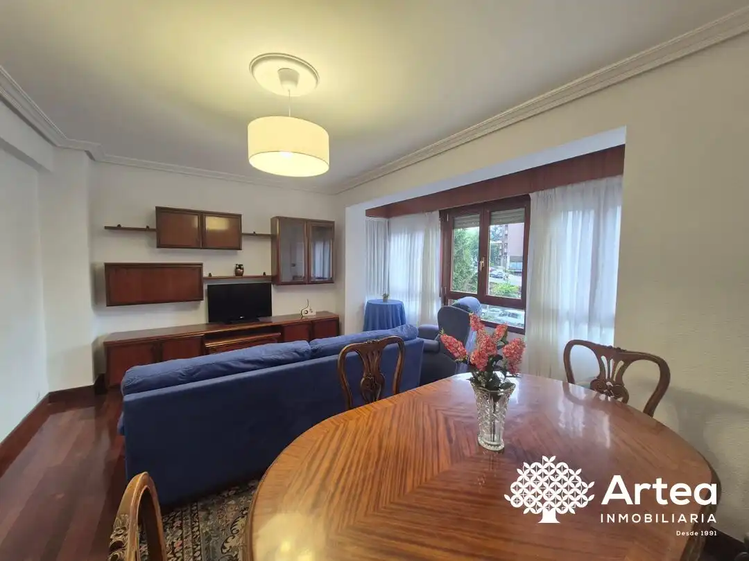 Living room of Flat for rent in Bilbao   with Heating, Oven and Washing machine