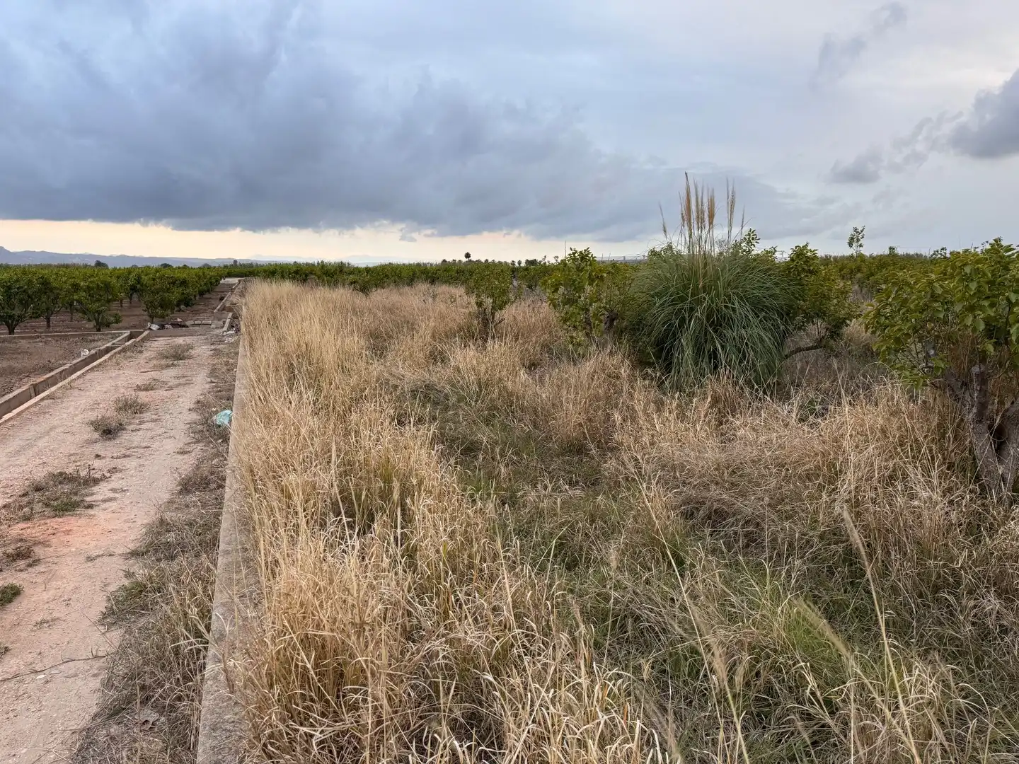 Terrenos y solares en venta en Polígono 10 Parcela 62, imagen 12