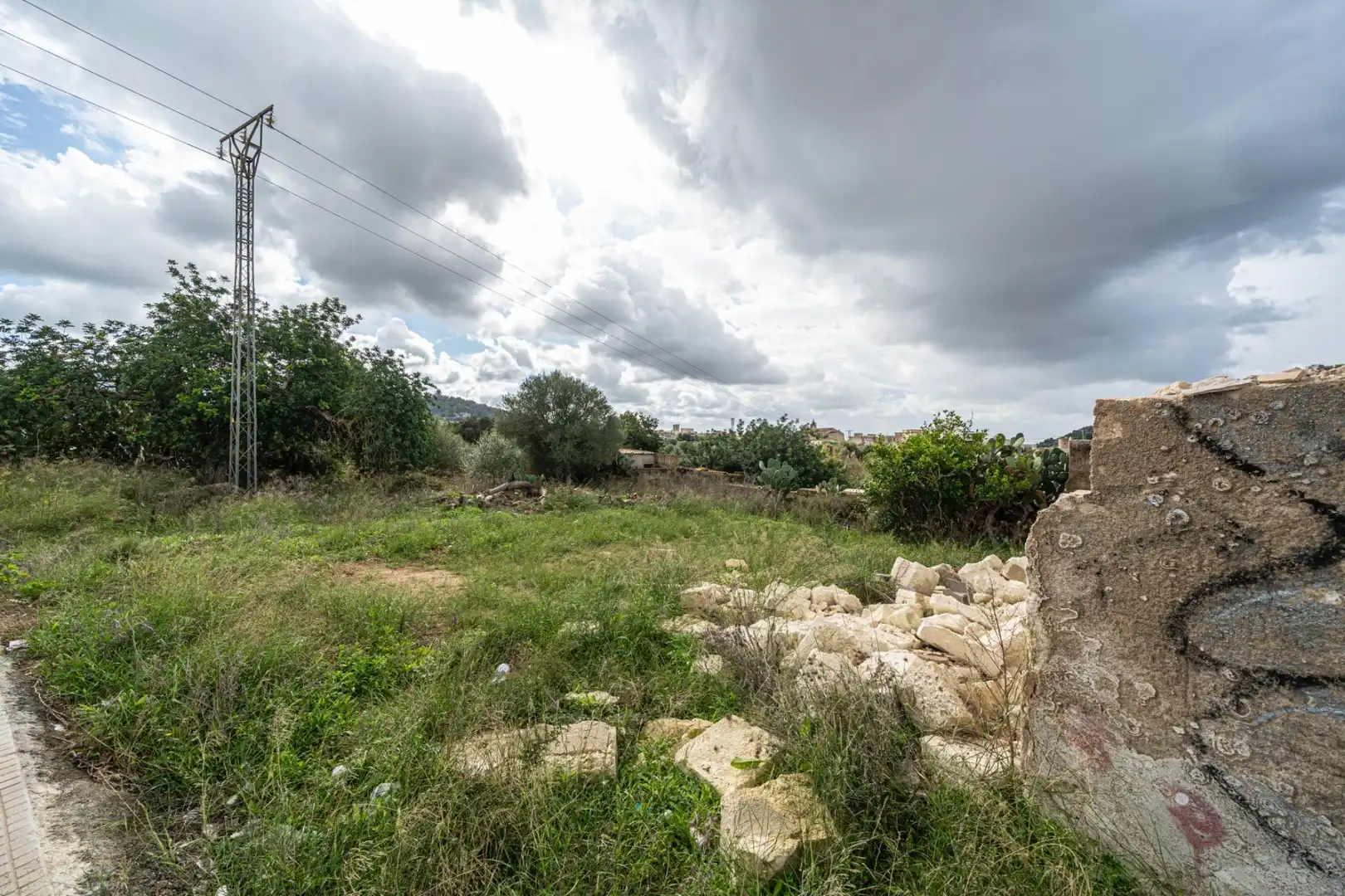 Rural land for sale in Felanitx Poble, imagen 2