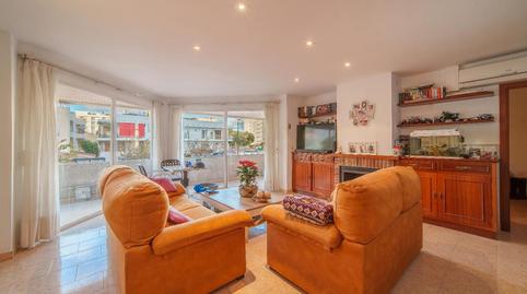 Photo 3 of Apartment for sale in Port d'Alcúdia - Platja d'Alcúdia, Illes Balears